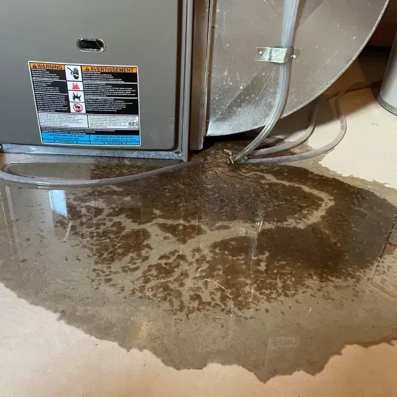 Appliance Leak Cleanup in Blaine, WA